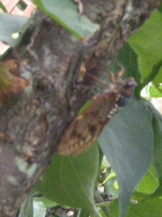 Dscn4568_2